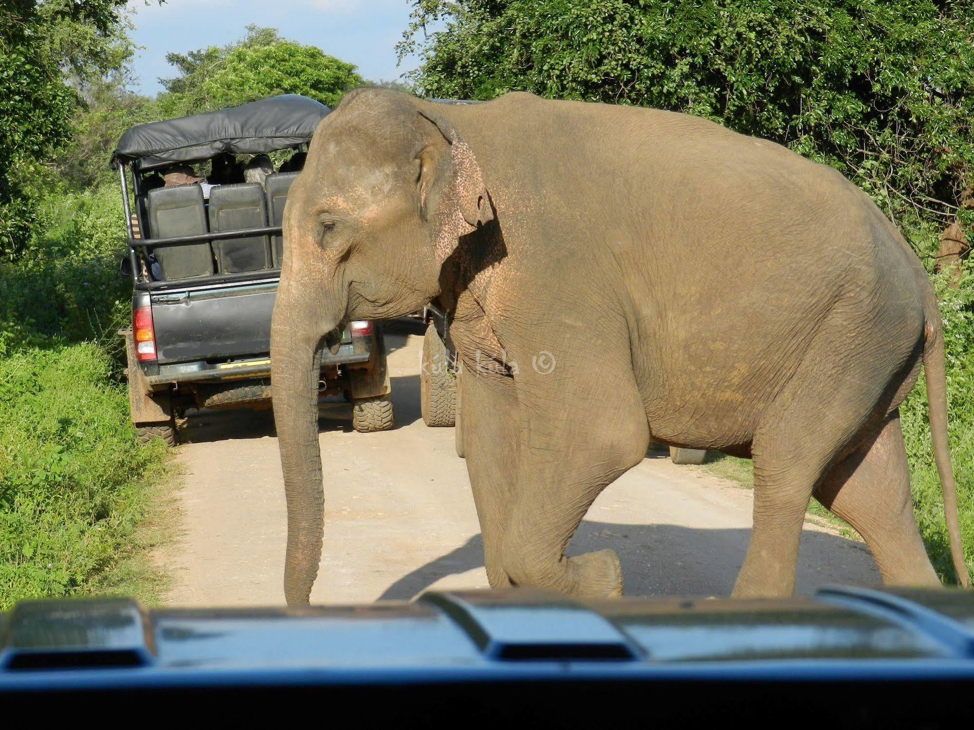 Kula Kula Luxury Camping Resort อุดาวาลาเว ภายนอก รูปภาพ