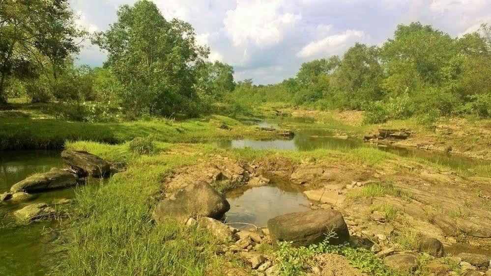 Kula Kula Luxury Camping Resort อุดาวาลาเว ภายนอก รูปภาพ