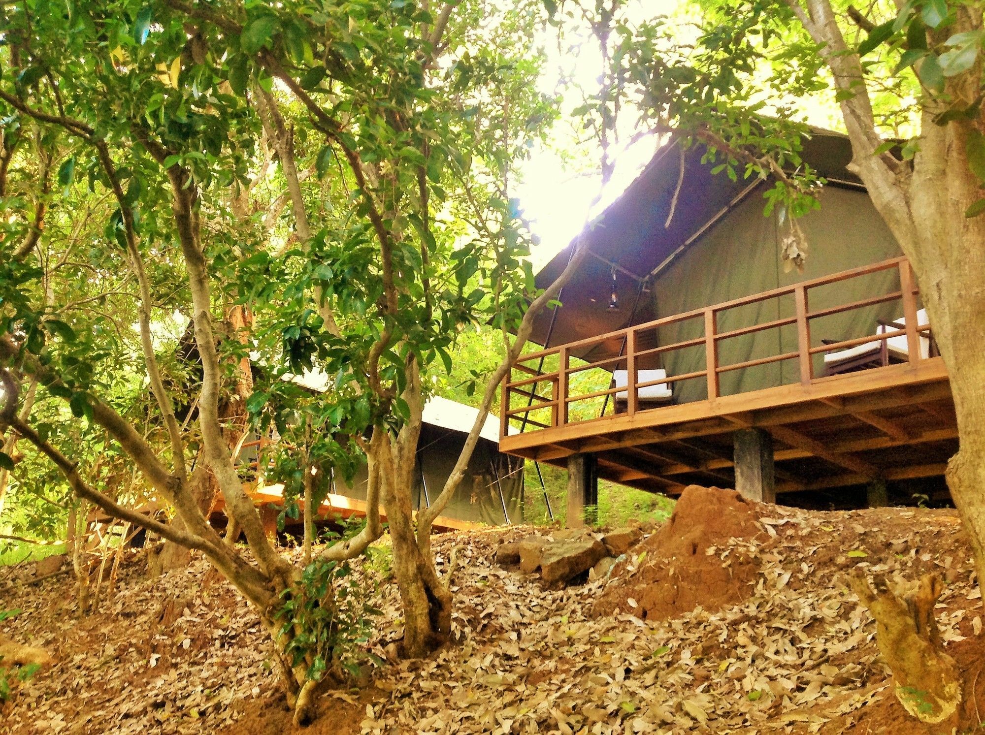 Kula Kula Luxury Camping Resort อุดาวาลาเว ภายนอก รูปภาพ